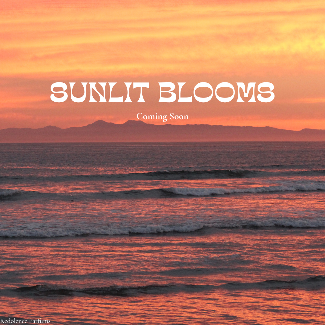 Sunlit Blooms (COMING SOON)
