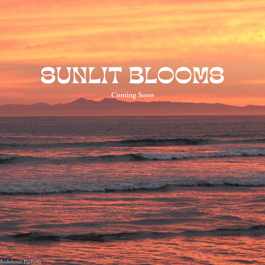 Sunlit Blooms (COMING SOON)